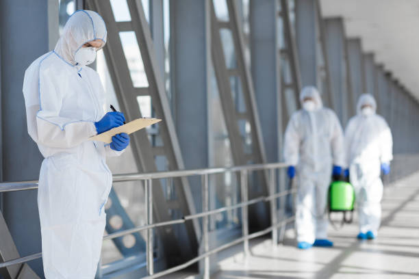 Best Mold Odor Removal Services  in Independence, KY