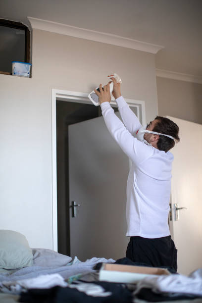 Best Attic Mold Removal  in Independence, KY