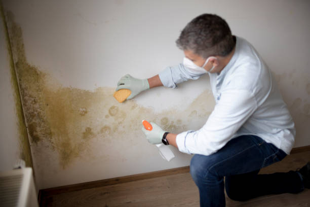 Mold Remediation for Rental Properties in Independence, KY