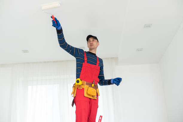 Forensic Mold Investigation in Independence, KY