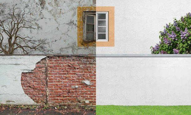 Best Mold Damage Restoration  in Independence, KY