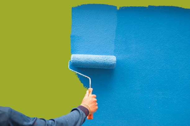 Best Basement Mold Removal  in Independence, KY
