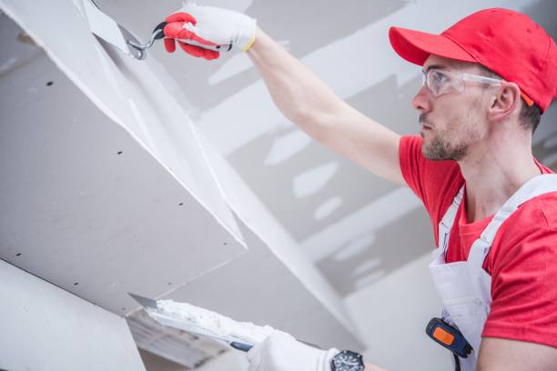Reliable Independence, KY Mold Removal Solutions