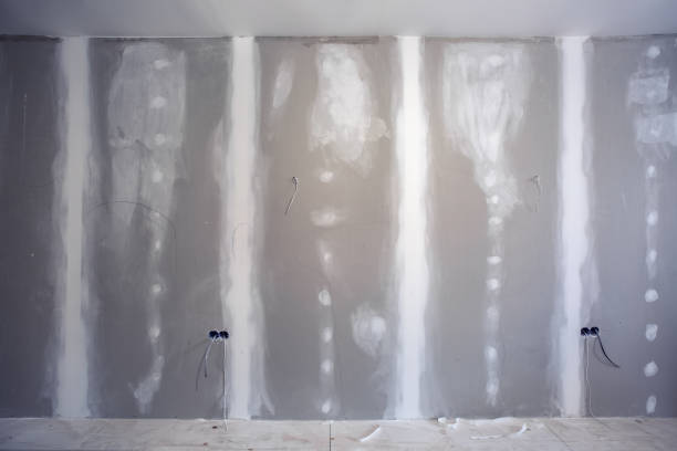 Best Biohazard Mold Removal  in Independence, KY